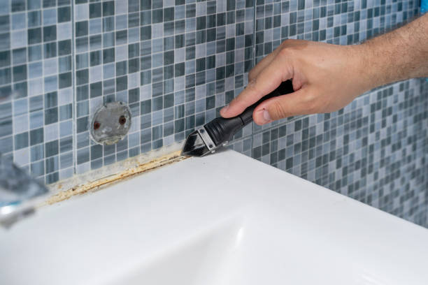 Best Mold Testing  in Lake View, AL